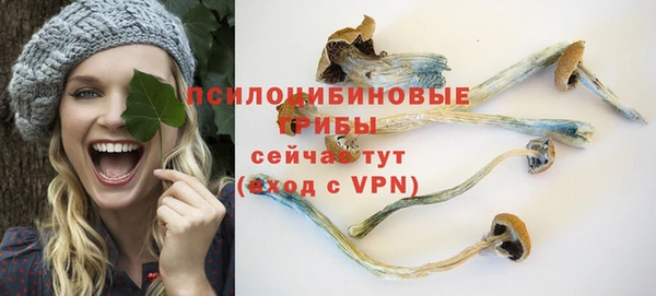 apvp Козельск
