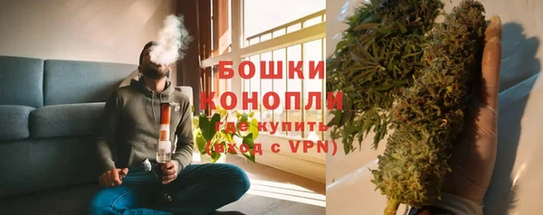 ГАЛЛЮЦИНОГЕННЫЕ ГРИБЫ Кодинск