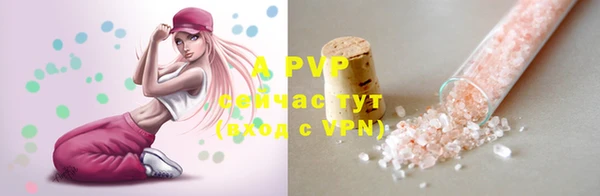 apvp Козельск