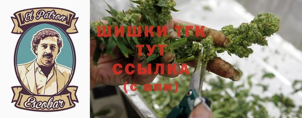 apvp Козельск
