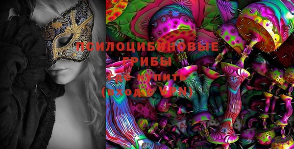 apvp Козельск