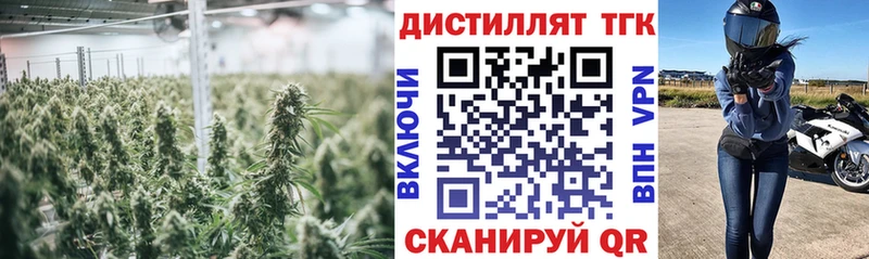 Купить  Белебей  ТГК концентрат 